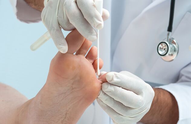 O médico processa o folheto do paciente